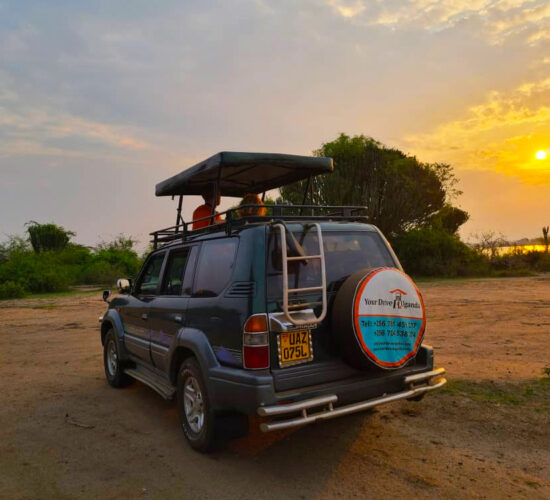 toyota-landcruiser-tx-with-rooftop-self-drive-congo-car-rental