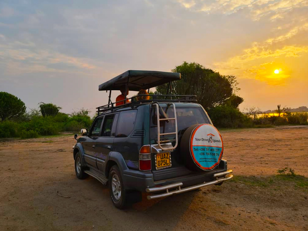 toyota-landcruiser-tx-with-rooftop-self-drive-congo-car-rental